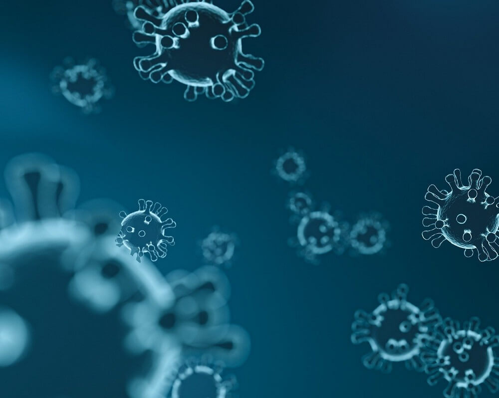 dandemia, wirusy pod mikroskopem
