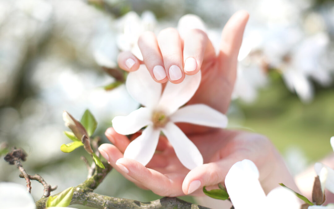 kobiece dłonie dotykające kwiat drzewa owocowego